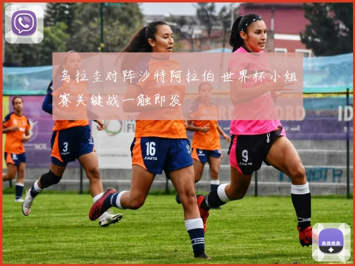 乌拉圭对阵沙特阿拉伯 世界杯小组赛关键战一触即发