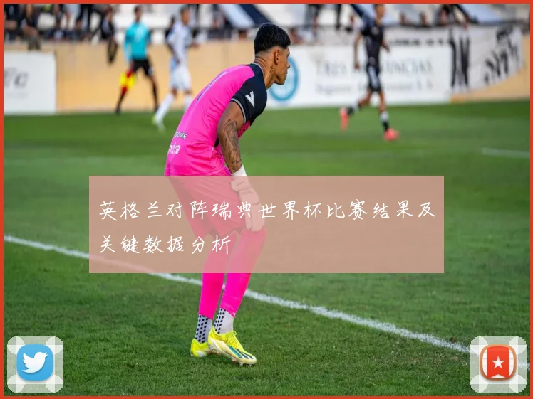 英格兰对阵瑞典世界杯比赛结果及关键数据分析